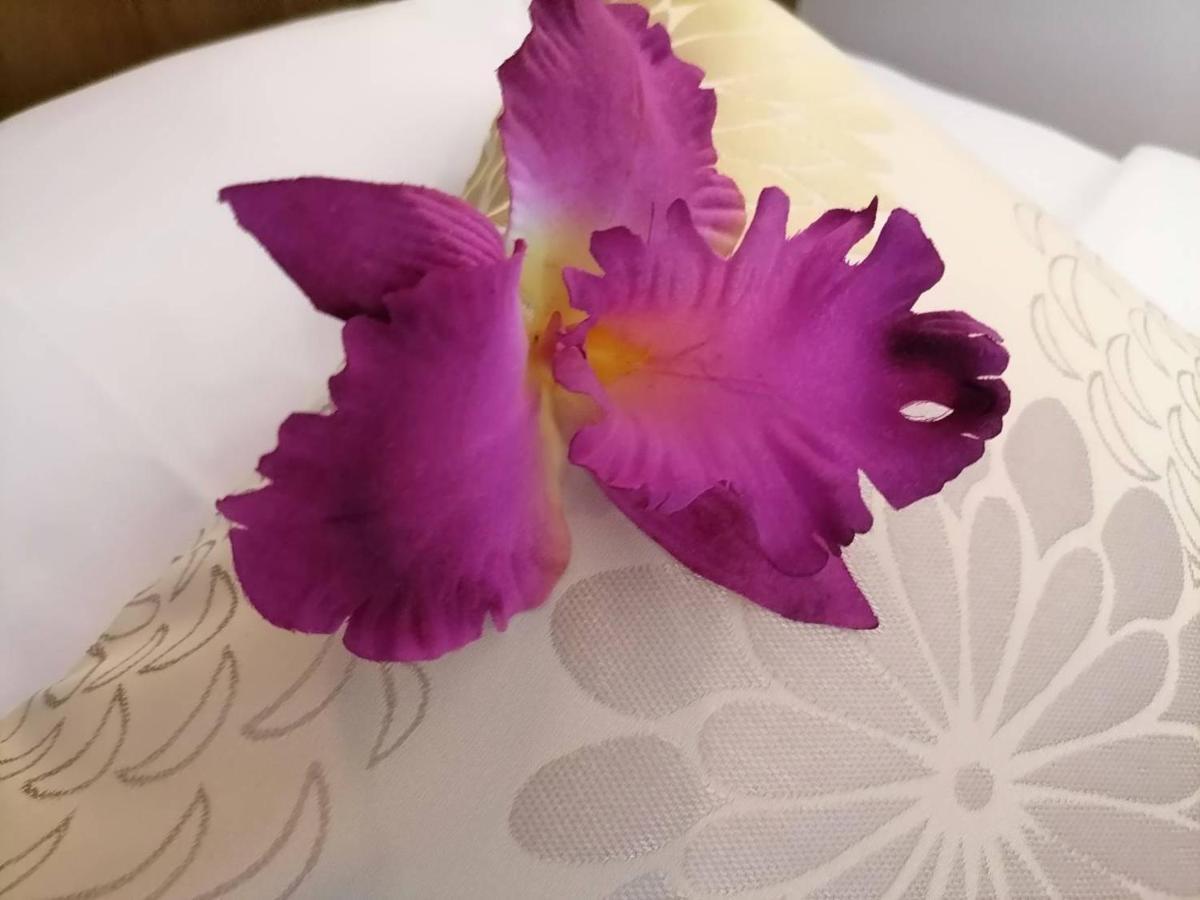Nj Patong Hotel 外观 照片