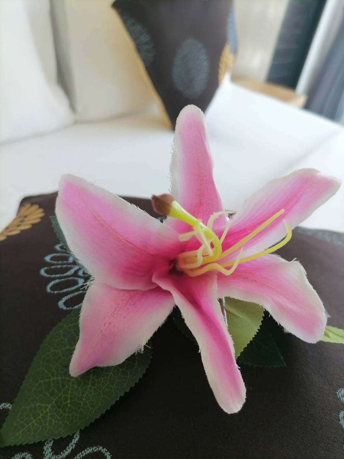 Nj Patong Hotel 外观 照片